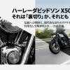 低回転のボボボボから高回転のクォーンへと変化するX500の排気音イメージ図