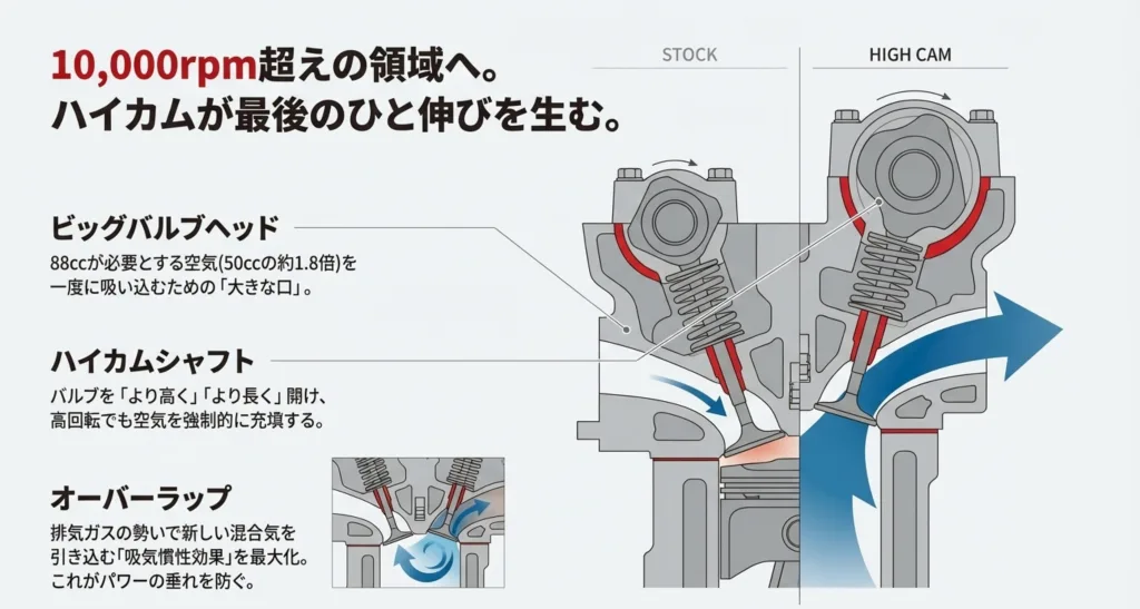 エンジンヘッドの断面図。大きな口で空気を吸い込むビッグバルブと、バルブを高く長く開けるハイカム、排気慣性を利用するオーバーラップの仕組み。
